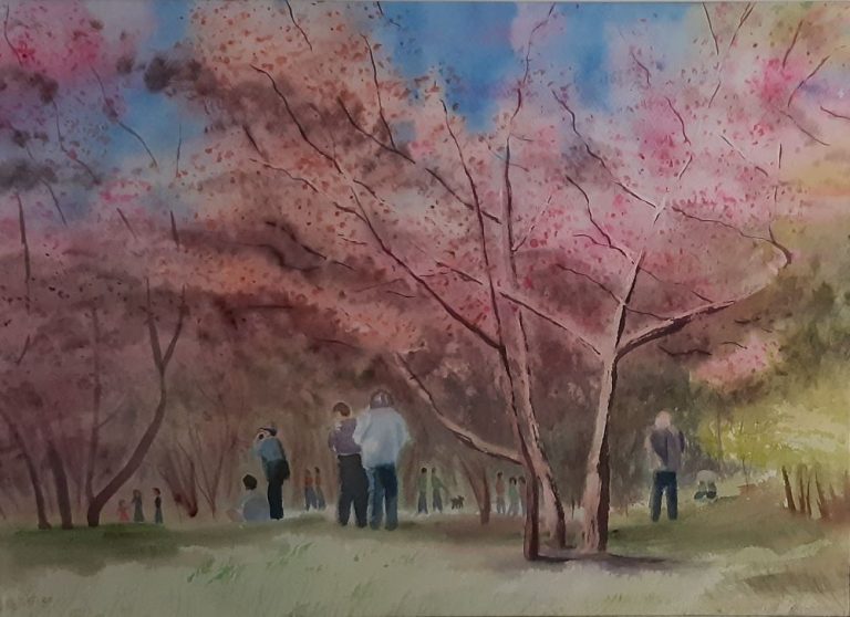 Sirkku-Tuominen-2020-Roihuvuoren-Hanami
