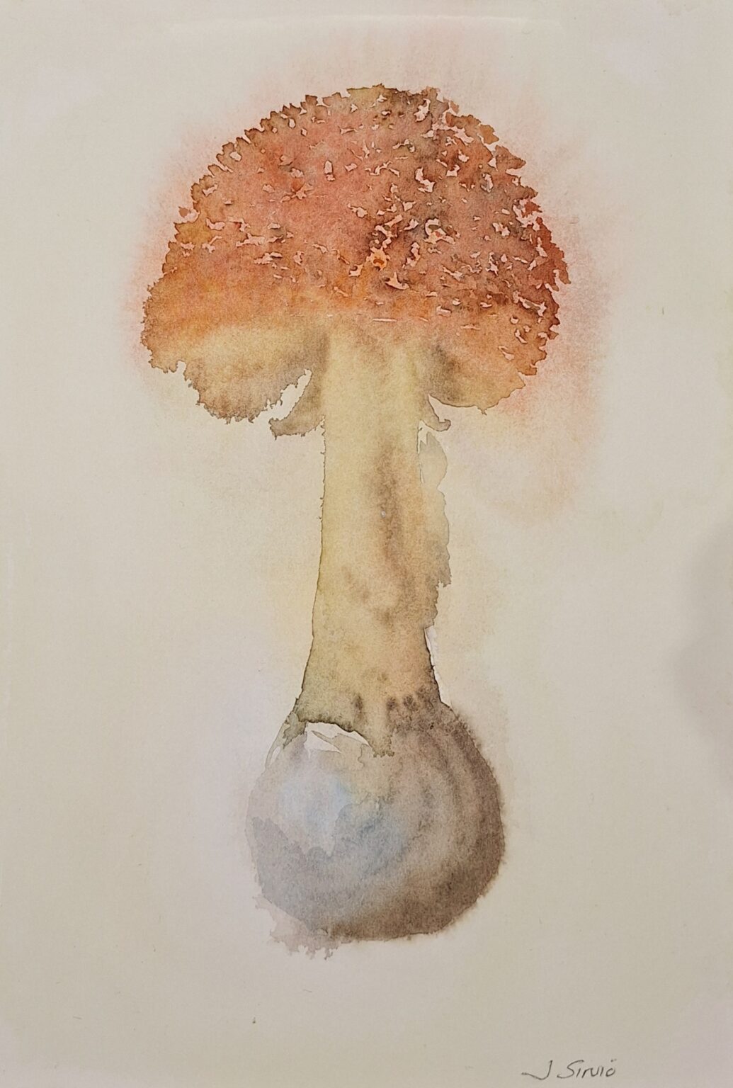 Joonas Sirvio Myrkyllinen