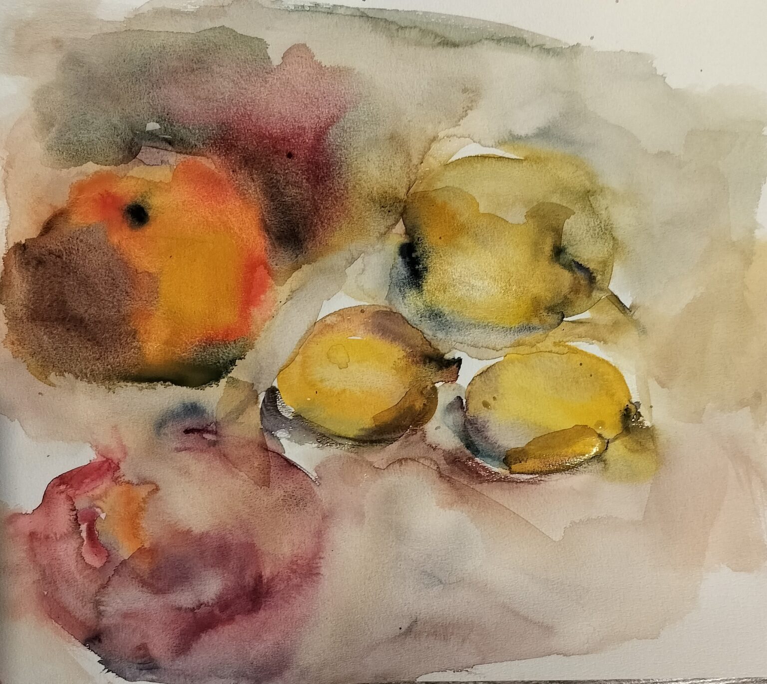 Mielen maisemissa - Anna-Leena Kinnunen