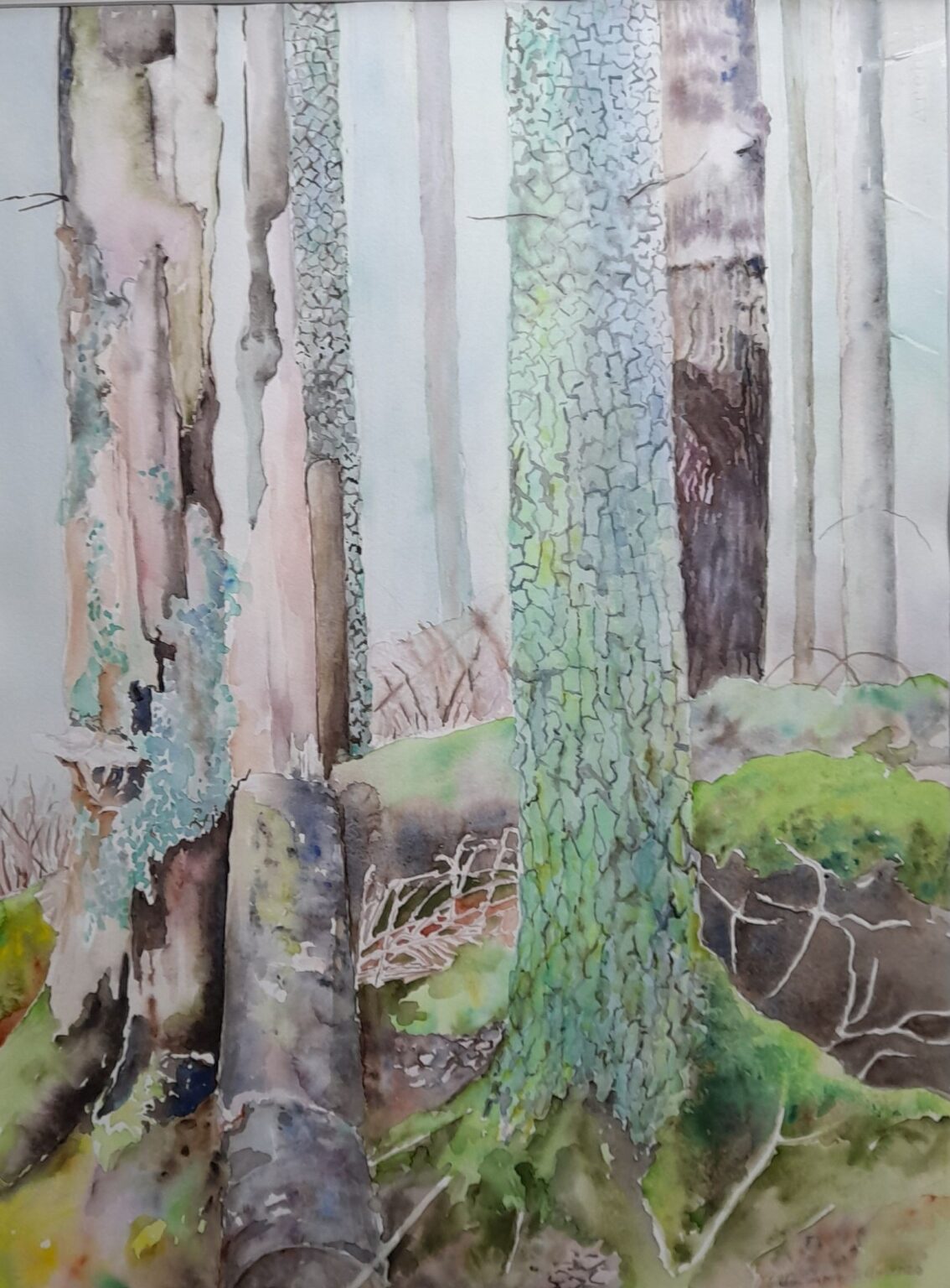 Metamorfoosi - Pirkko Siivonen-Takku