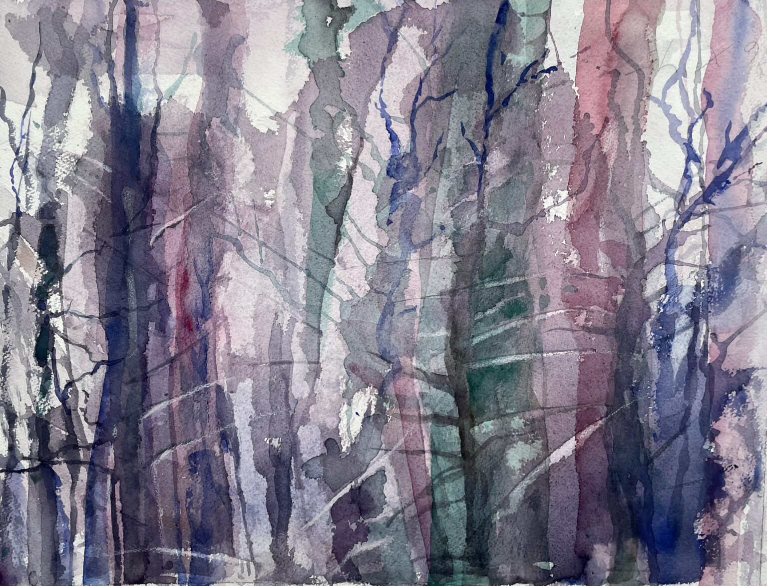 Metsä yrittää - Maikki Haapala